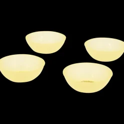 Barquettes pour aliments | Action FR