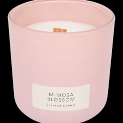 Bougie parfumée | Action FR