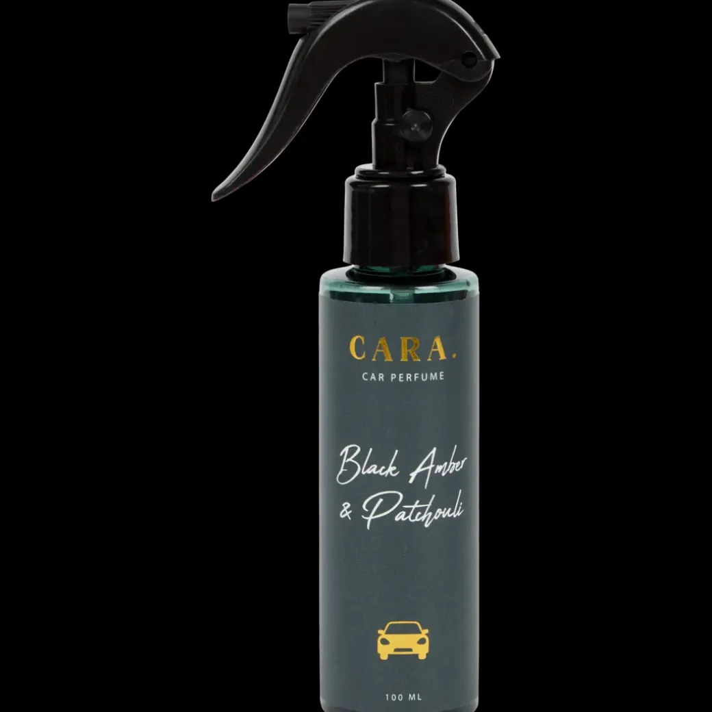 Désodorisant pour voiture | Action FR