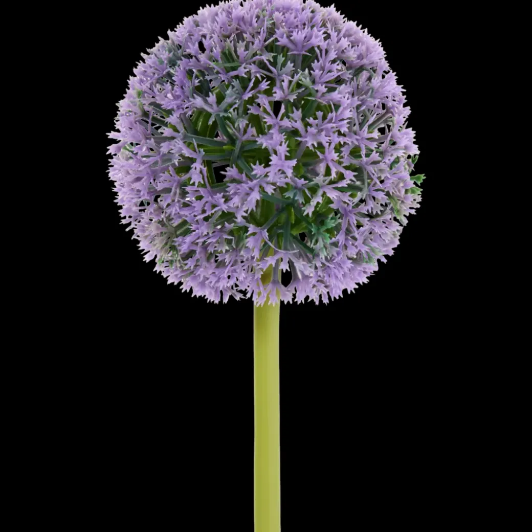 Gallium artificiel sur tige | Action FR