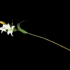 Lys artificiel | Action FR