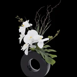 Orchidée dans un vase | Action FR