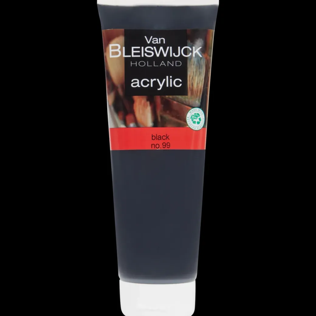 Peinture acrylique Van Bleiswijck Noir | Action FR