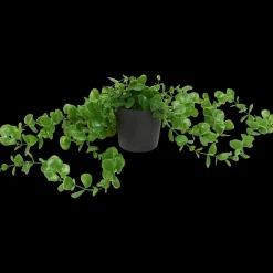 Plante suspendue en pot Excellent Flowers | Action FR