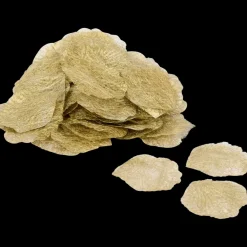 Pétales de rose de Noël | Action FR