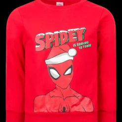 Pull de Noël Unisexe | Action FR