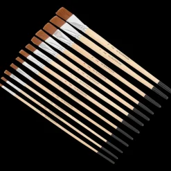 Set de pinceaux Van Bleiswijck | Action FR